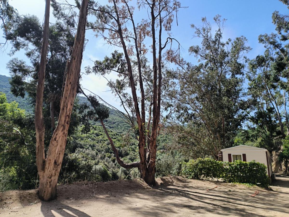 מלון קמפומורו Mira Monti Location מראה חיצוני תמונה